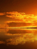 anim240320mobildesign.atw.hu_0266.gif